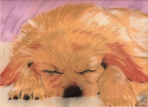 Bb_golden_2