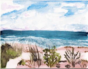 Cote_sauvage