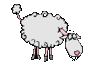 Mouton_1