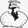 Poulet_2