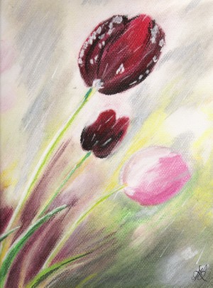 Tulipes
